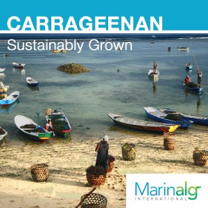 carrageenan sustainably grown